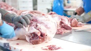 Компания «Атенк» в Масисе расширяет производство мяса при господдержке