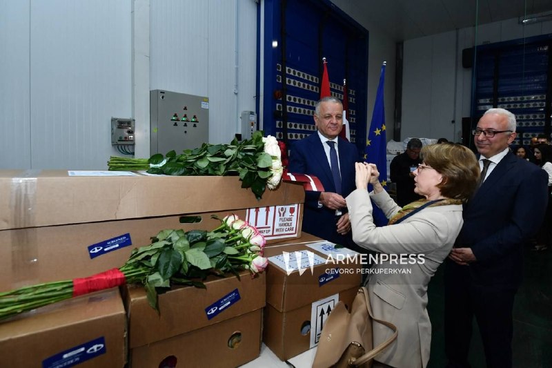 Первая партия роз из Армении в Латвию: 5500 цветов экспортированы из Масиса