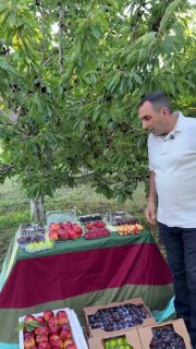 Первая партия армянских фруктов отправлена в ОАЭ из Масиса