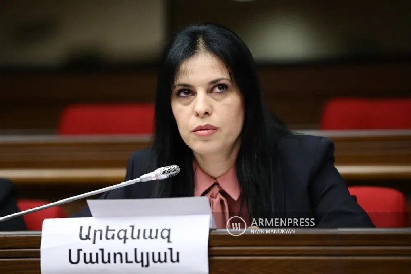 Арестована член правления партии «Мать Армения» Арегназ Манукян на два месяца